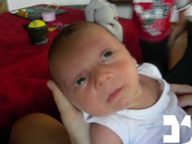 Yuki - 20090904 16.38 - 26 giorni - 463-FDM.JPG